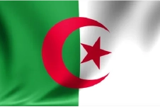 Arabic Flag